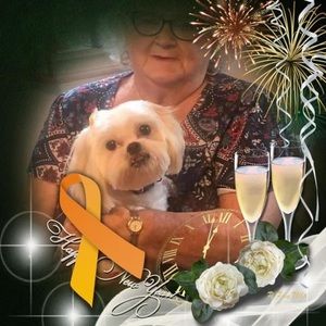 Meet your Posher, Joyce